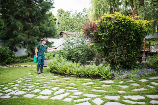 Best Pest Inspection Near Me  in Homewood, IL