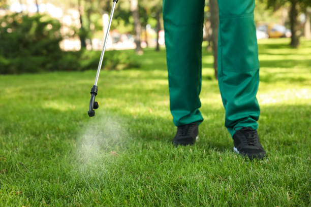 Best Affordable Exterminators  in Homewood, IL