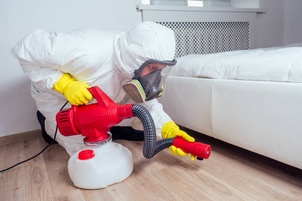 Wasp Removal Services in Homewood, IL