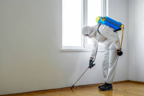 Best Rat Extermination Near Me  in Homewood, IL