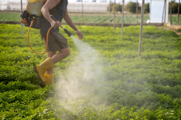Best Best Pest Control Companies  in Homewood, IL