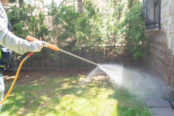 Best Spider Control Near Me  in Homewood, IL