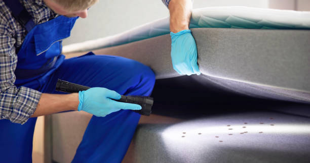 Best Termite Control Services  in Homewood, IL