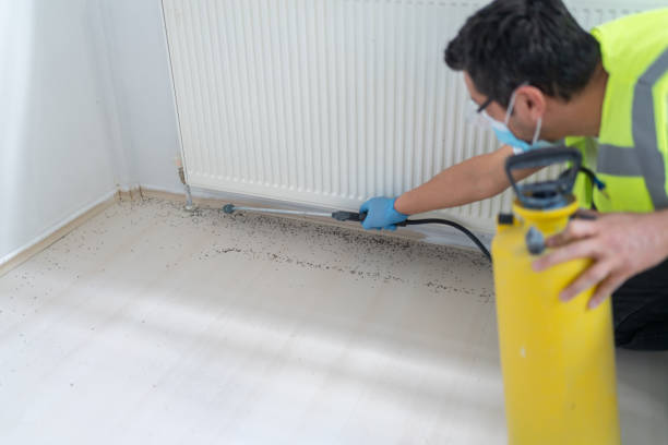Best Wildlife Control Services  in Homewood, IL
